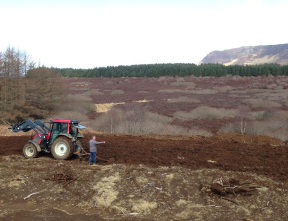 Isle of Eigg Tree Nursery established with funding from The Naturesave Trust
